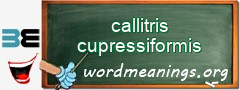 WordMeaning blackboard for callitris cupressiformis
